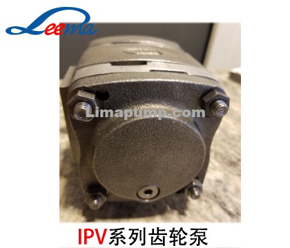 IPV3齿轮泵（福伊特）