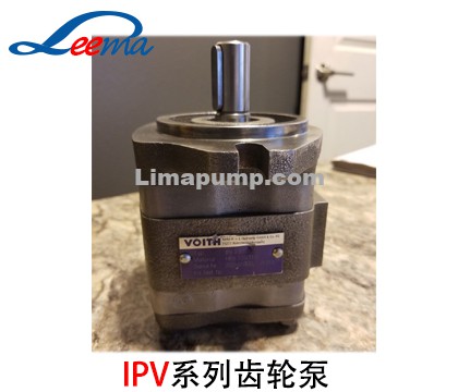IPV3齿轮泵（福伊特）