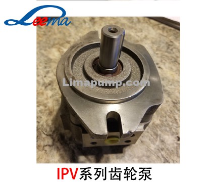 IPV5齿轮泵（福伊特）